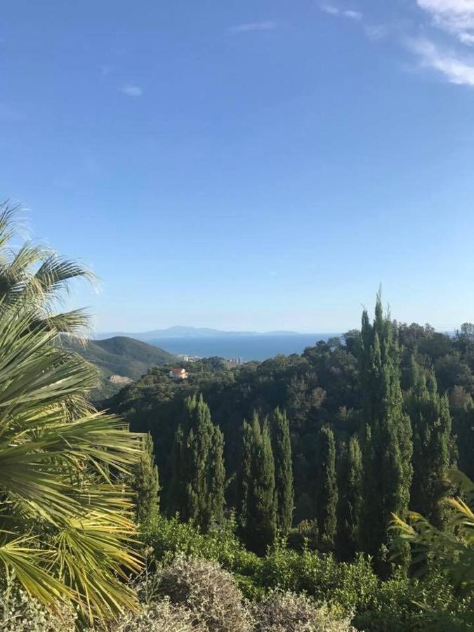 La Riggiola Bed & Breakfast Salerno Exterior photo