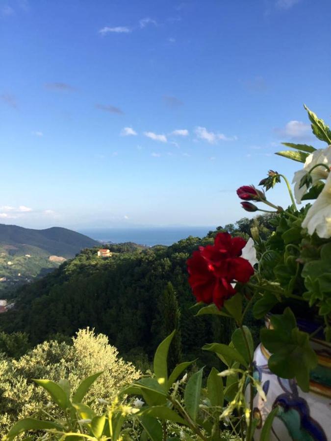 La Riggiola Bed & Breakfast Salerno Exterior photo