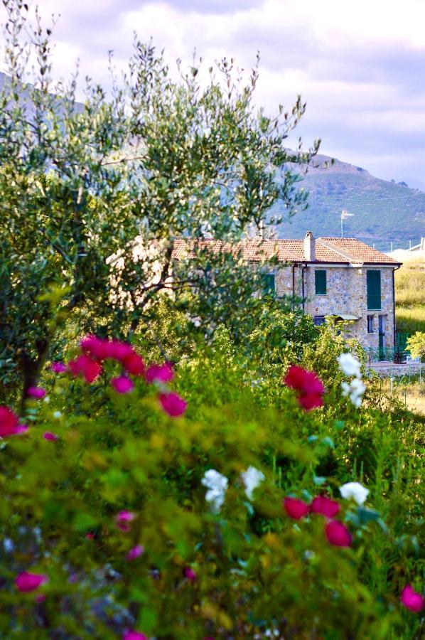 La Riggiola Bed & Breakfast Salerno Exterior photo